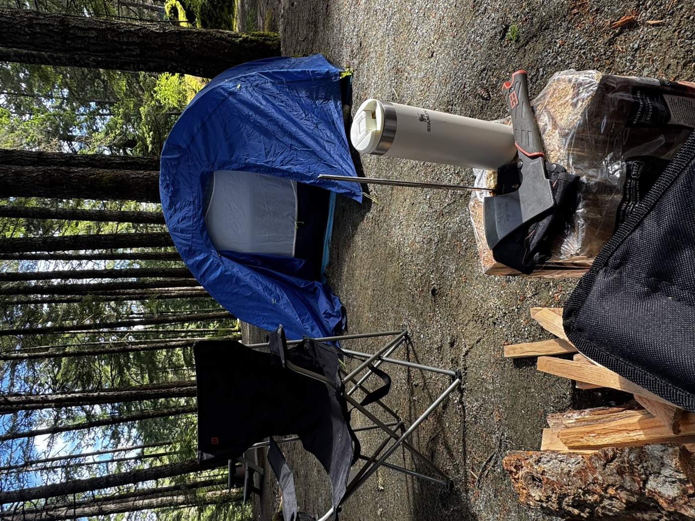 Jasmine Bahrami camping in the forest